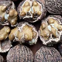 UBlack Walnut